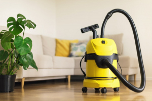 Top Carpet Cleaning Tools to Maintain Your Room Hygiene